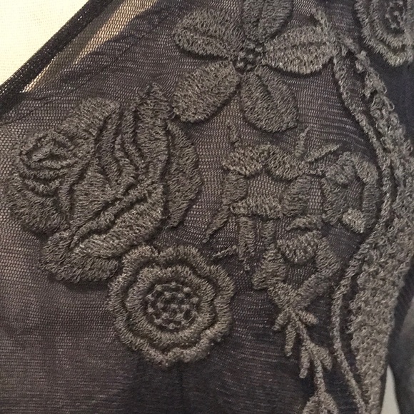 Jonny Was Biya Mesh Dress w/ Grey Silk Slip - Picture 5 of 5